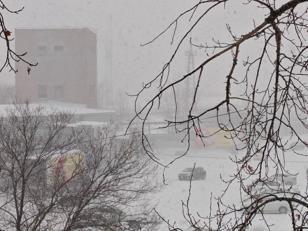 Об изменении погодных условий 12-15 марта предупредили синоптики Юлия Ожегова, ИА PriamurMedia