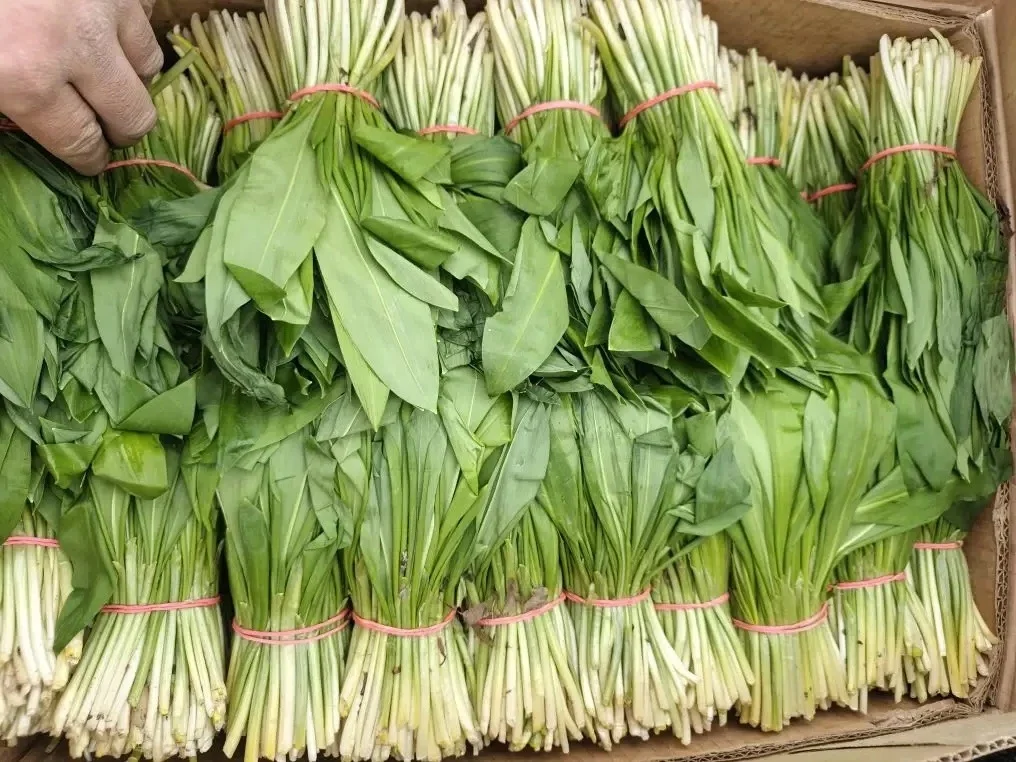 . пресс-служба управления Россельхознадзора по Красноярскому краю