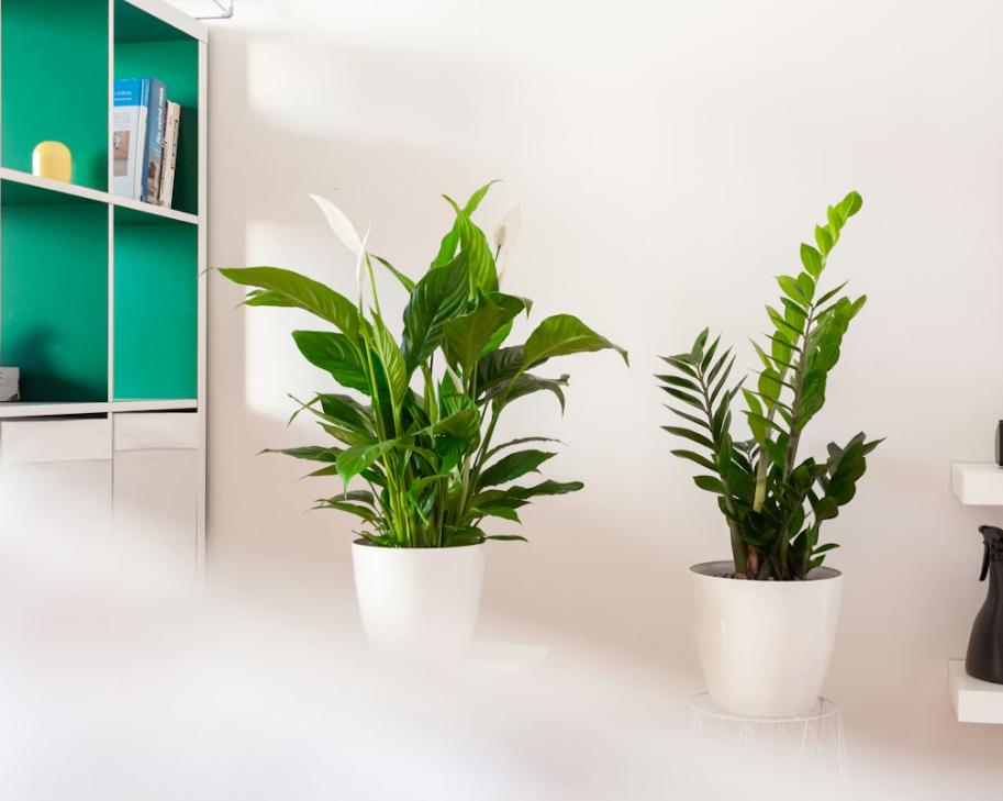 Тематическое фото unsplash.com