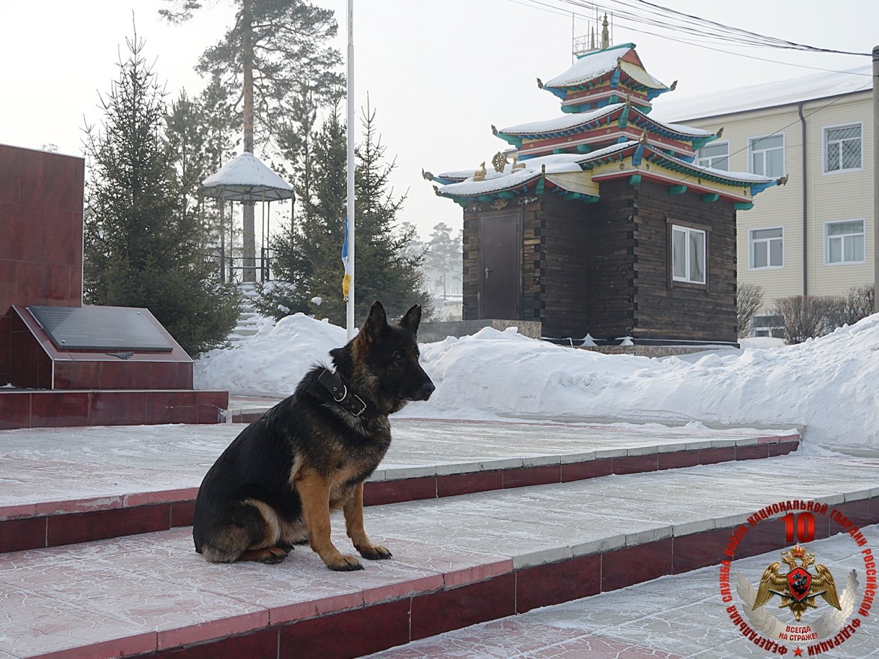 Росгвардия