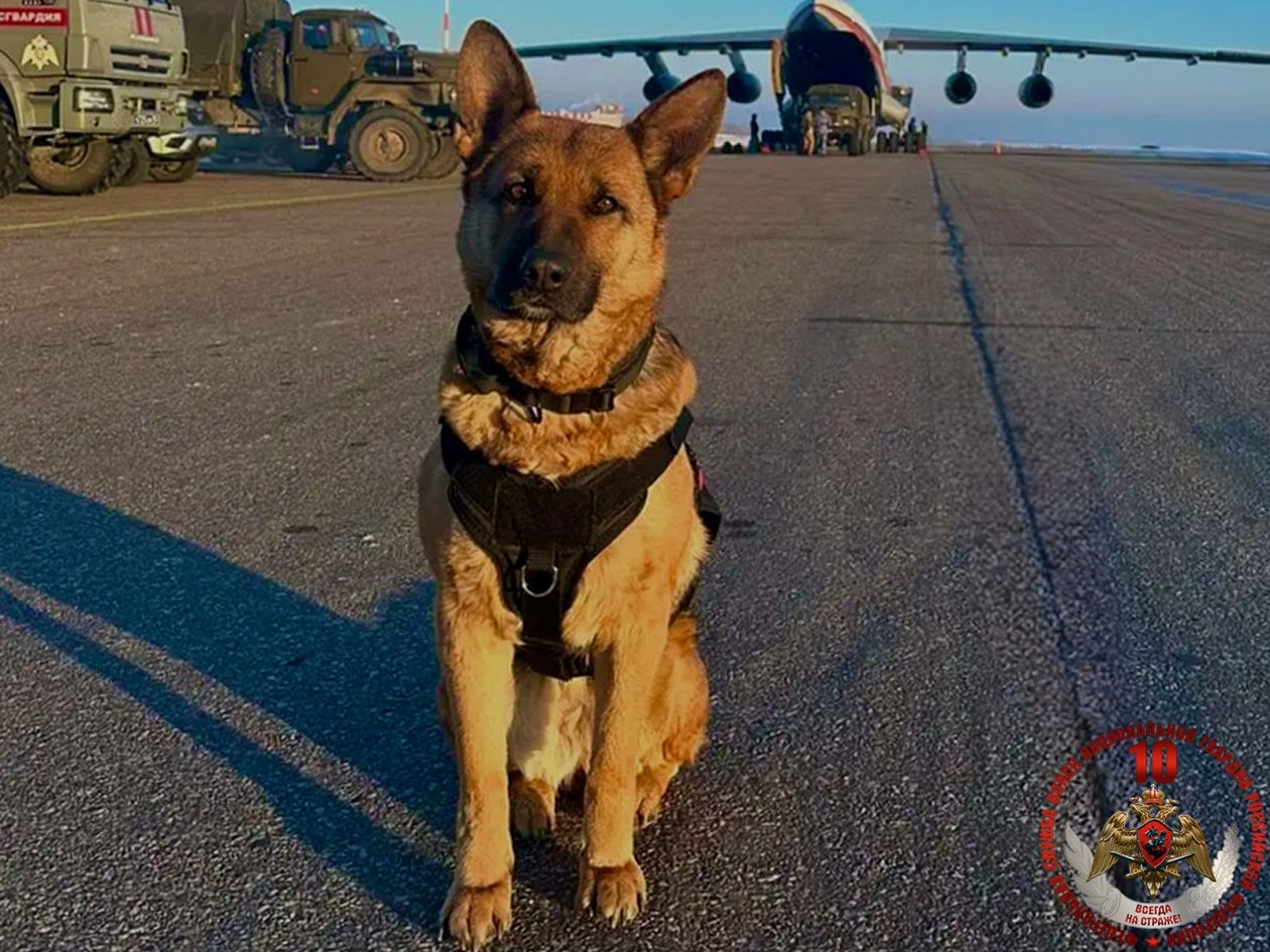 Росгвардия