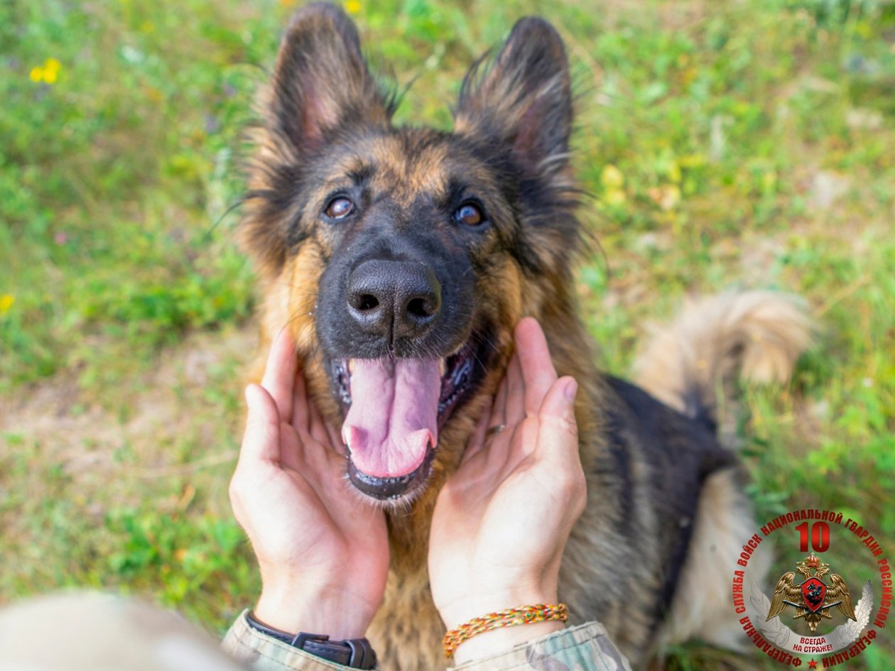 Росгвардия