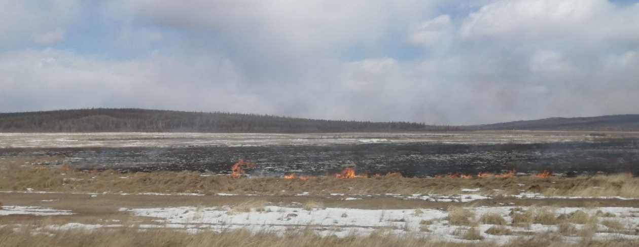 Леса и дачные участки готовят к пожароопасному сезону в Ставрополе Абрамченко Анета