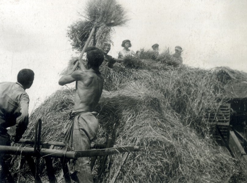 Молотьба в колхозе Валдгейм. 1935 г. Наследие ЕАО