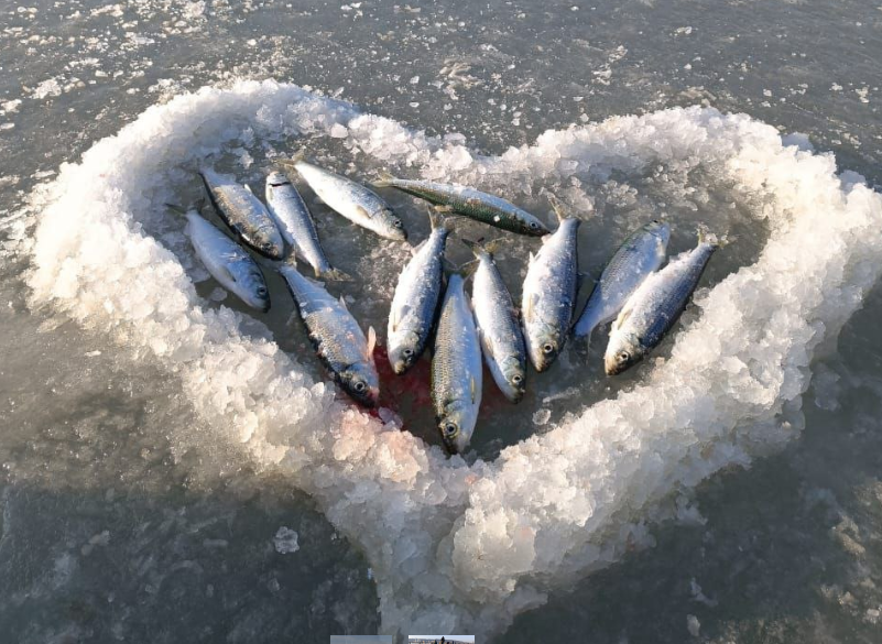 Фото очевидцев тг-канал &quotVLADIVOSTOK1.RU | Новости Приморья&quot (18+)