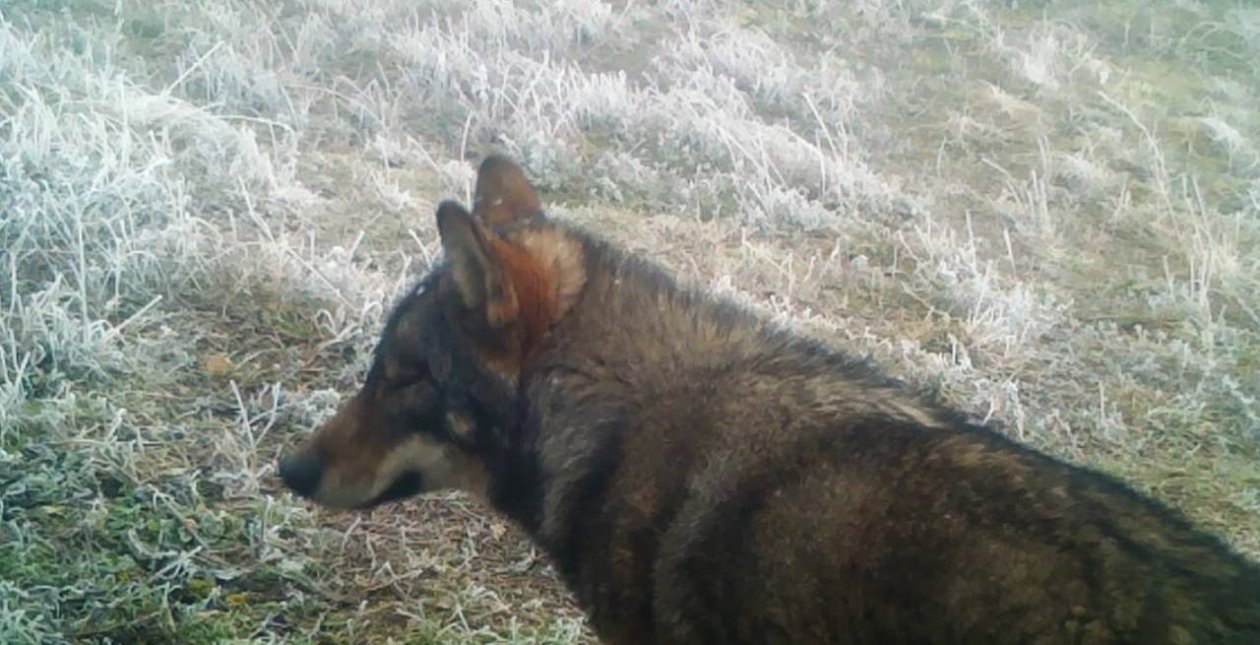 ФГБУ «Заповедный Крым»