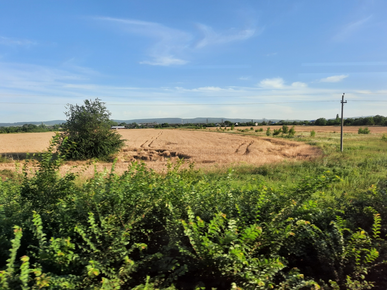 На Кубани через суд забрали 34 участка у недобросовестного застройщика Людмила Лата