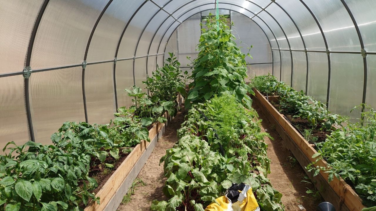 Тематическое фото ИА EAOMedia