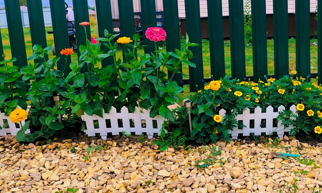 Цветы Автора