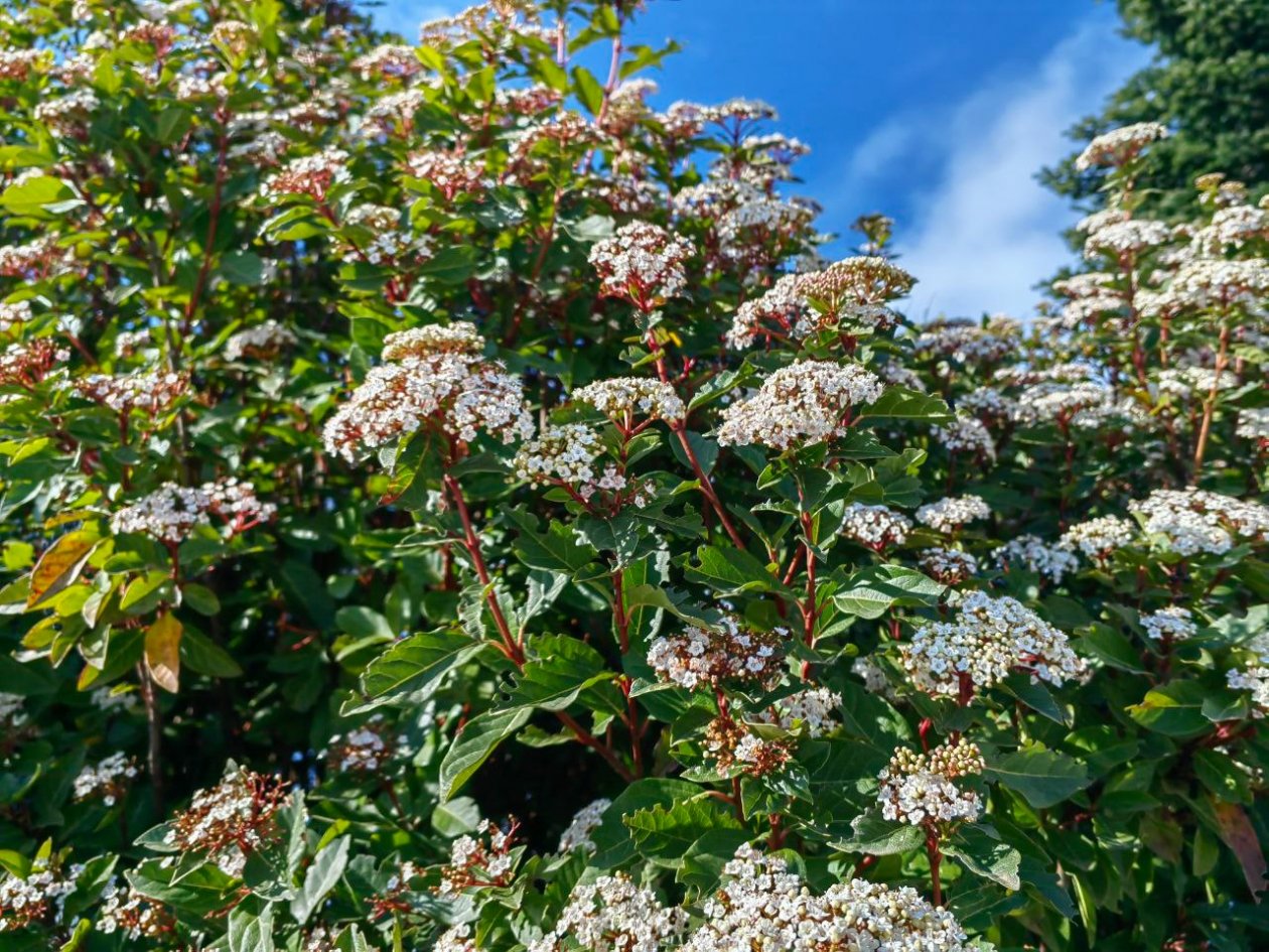 До +18°С прогреется воздух на Кубани ИА KrasnodarMedia