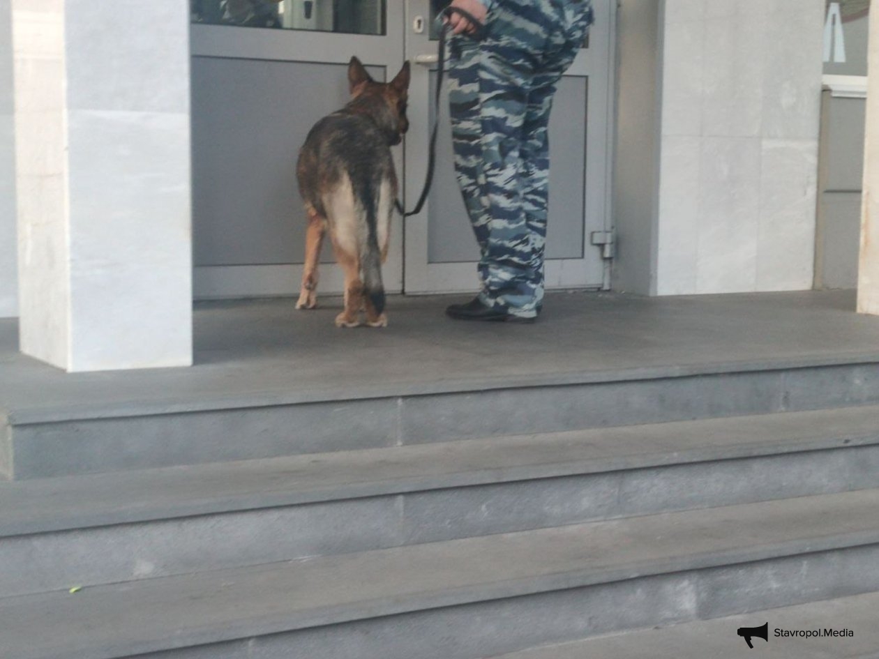 Вузы и сузы проверили после информации о минировании на Ставрополье ИА Stavropol.Media