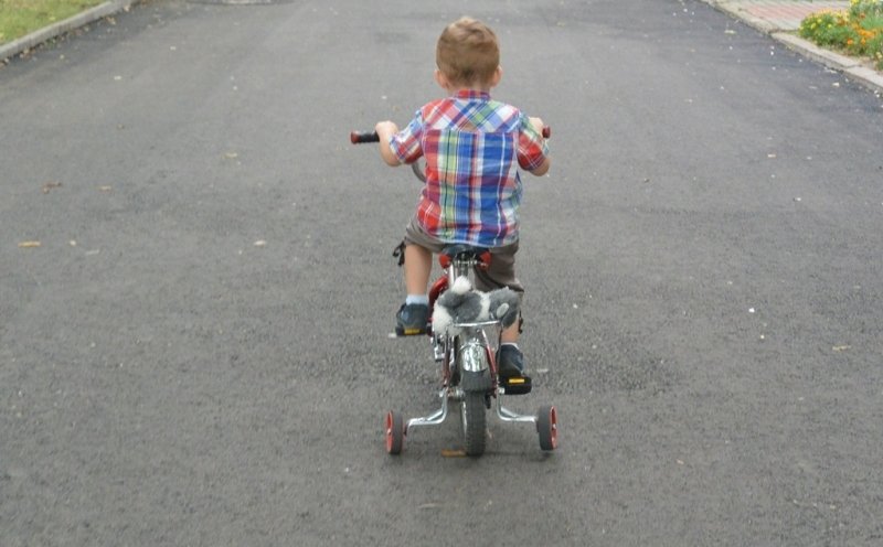 Кубанская журналистка Симоньян предложила штрафы за отказ сдавать жилье семьям с детьми Наталья Баграновская