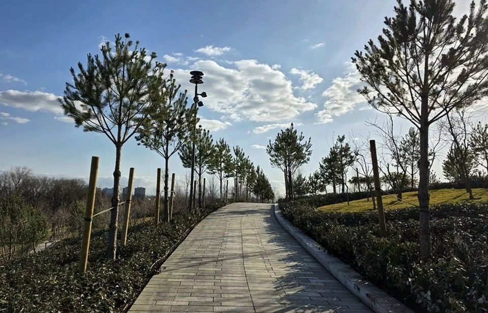 В краснодарском парке Галицкого открылись новые панорамные аллеи для прогулок t.me/parkkrd