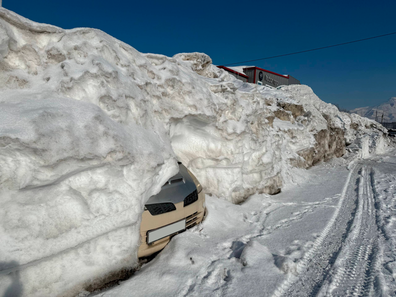 Автомобильные подснежники растут на Камчатке ИА KamchatkaMedia