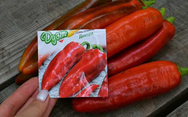 Скриншот Дзен-канал &quotМоя успешная дача&quot (18+)