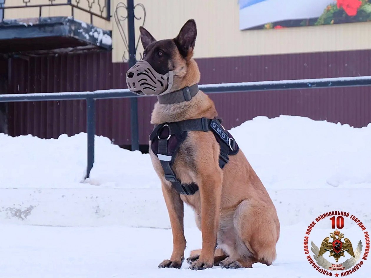 Росгвардия