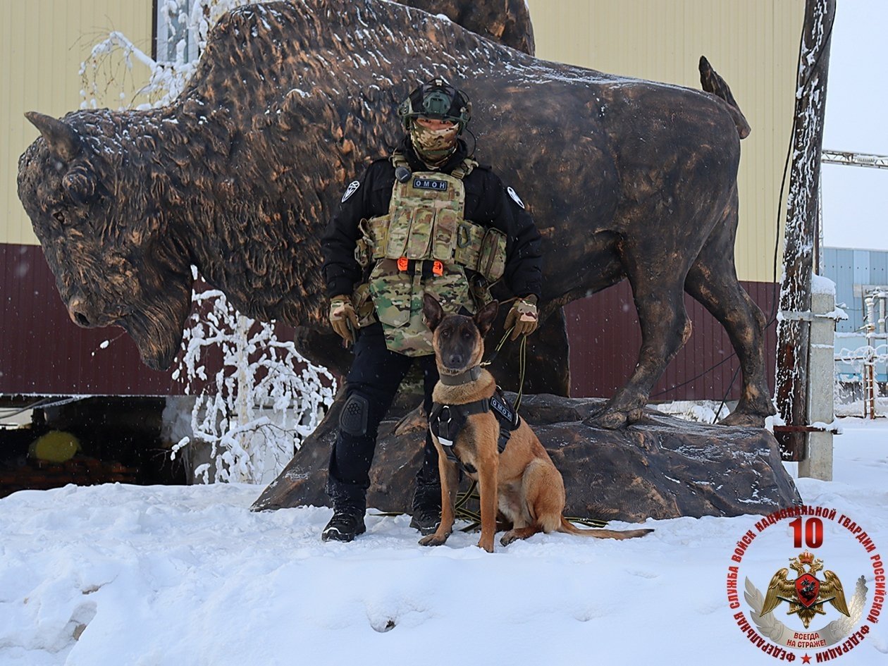 &quotСлужат два товарища&quot на страже Якутии: Семён и Ястреб — верный тандем Росгвардии Росгвардия