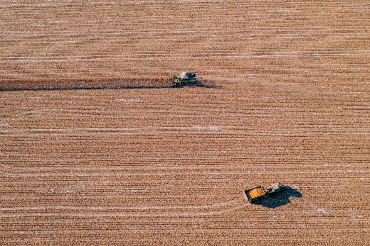 Более 5 тысяч тонн зерна экспортировали из Иркутска Мария Смитюк, ИА PrimaMedia.ru