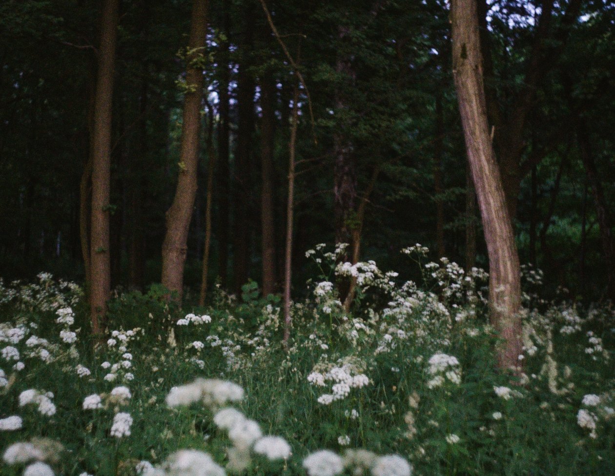 Тематическое фото unsplash.com