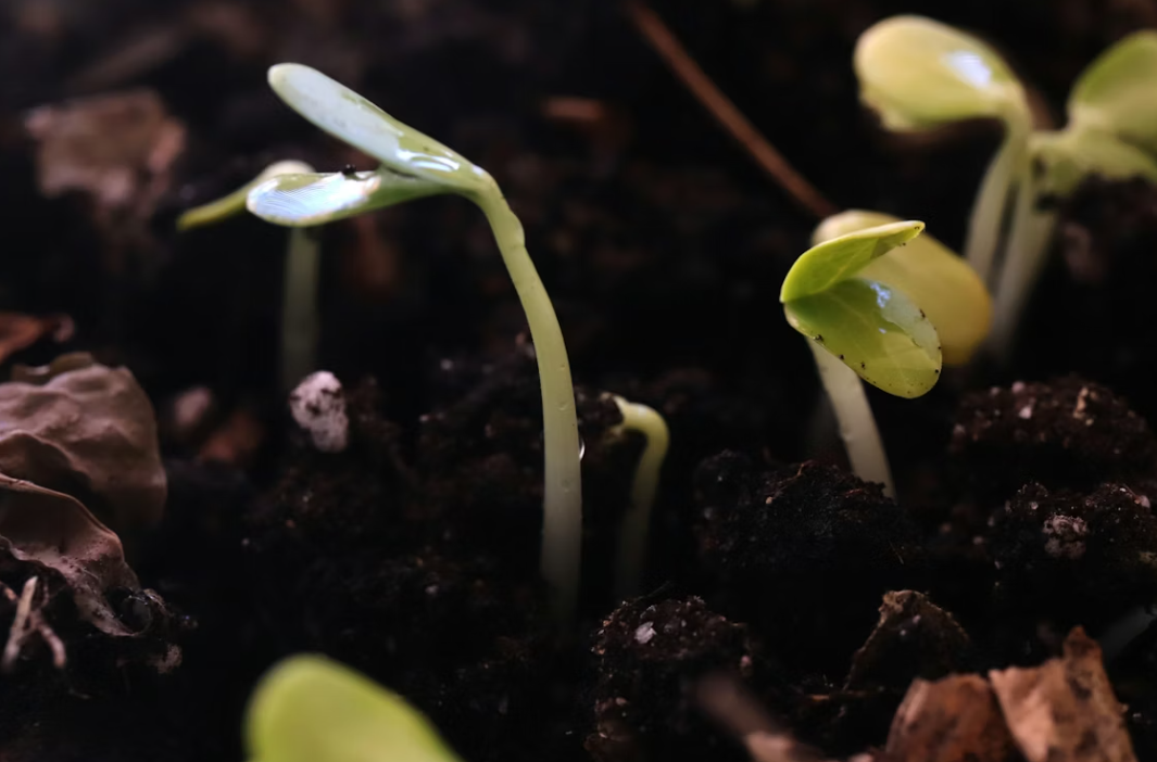 Тематическое фото Unsplash.com (18+)