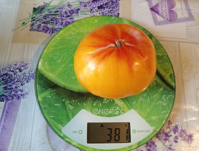 Скриншот Дзен-канал &quotМоя успешная дача&quot (18+)