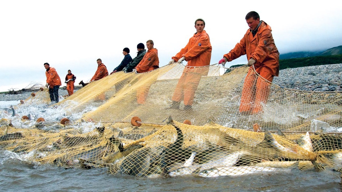 Игорь Донцов: Биоресурсы прибрежной зоны Охотского моря используются частично Источник