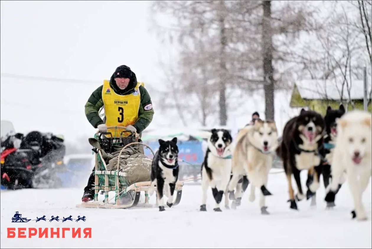 &quotБерингия-2026&quot ТГ-канал &quotБерингия&quot (18+)