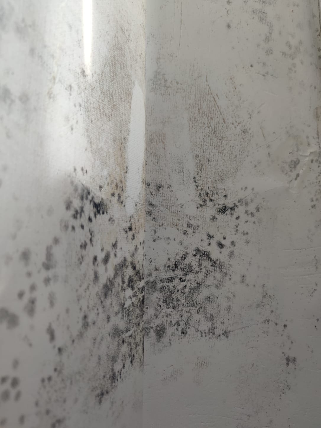 Тематическое фото Предоставлено собственниками квартир