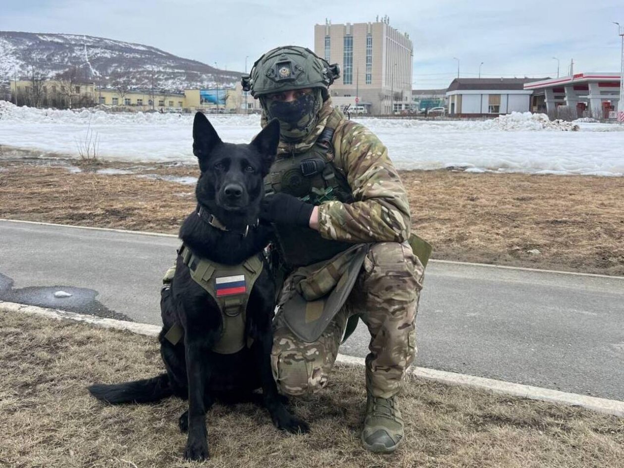 Тематическое фото Росгвардия по Магаданской области