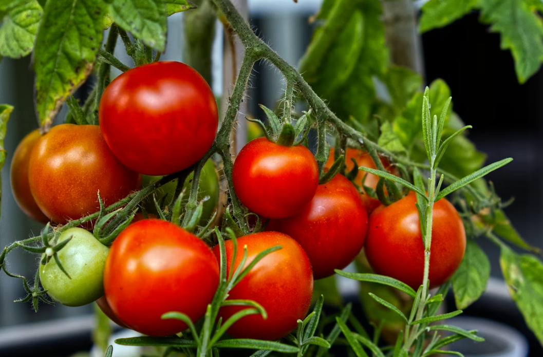 Тематическое фото unsplash (18+)