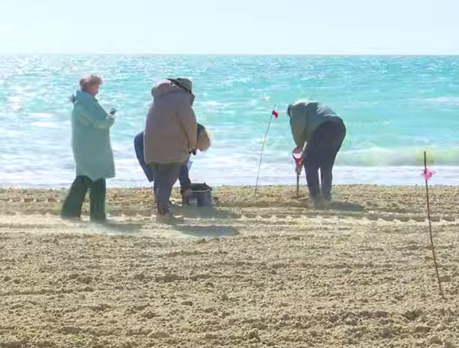 Специалисты отобрали 27 проб на обновленном участке пляжа под Анапой Оперштаб Кубани