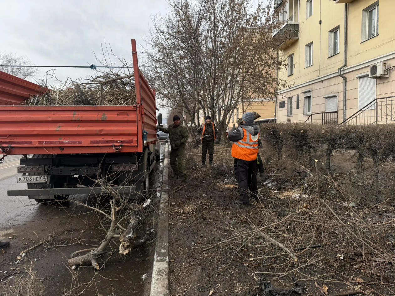 Как бригада справилась с последствиями ДТП почти мгновенно МБУ &quotГородское лесничество&quot