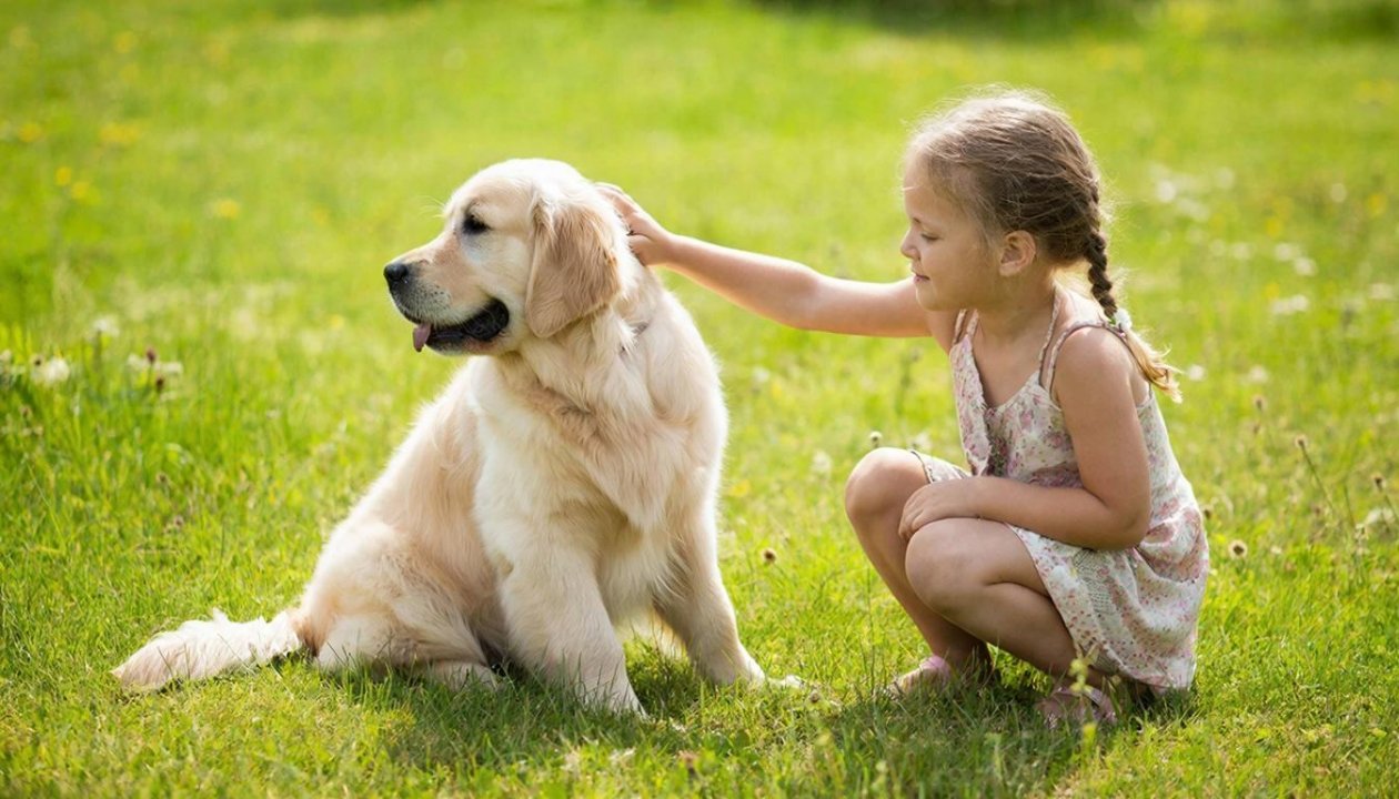 5 самых добрых собак: их заводят семьи с маленькими детьми ИИ Kandinsky (18+)