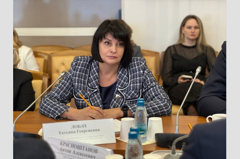 Депутат участвовала в разработке законопроектов из разных сфер Из архива Т. Лобач