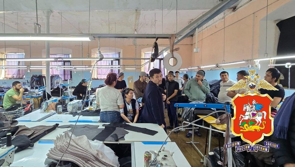 Цех с нелегалами в Подмосковье ГУ МВД России по Московской области.