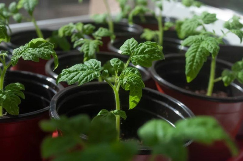 Тематическое фото unsplash.com (18+)