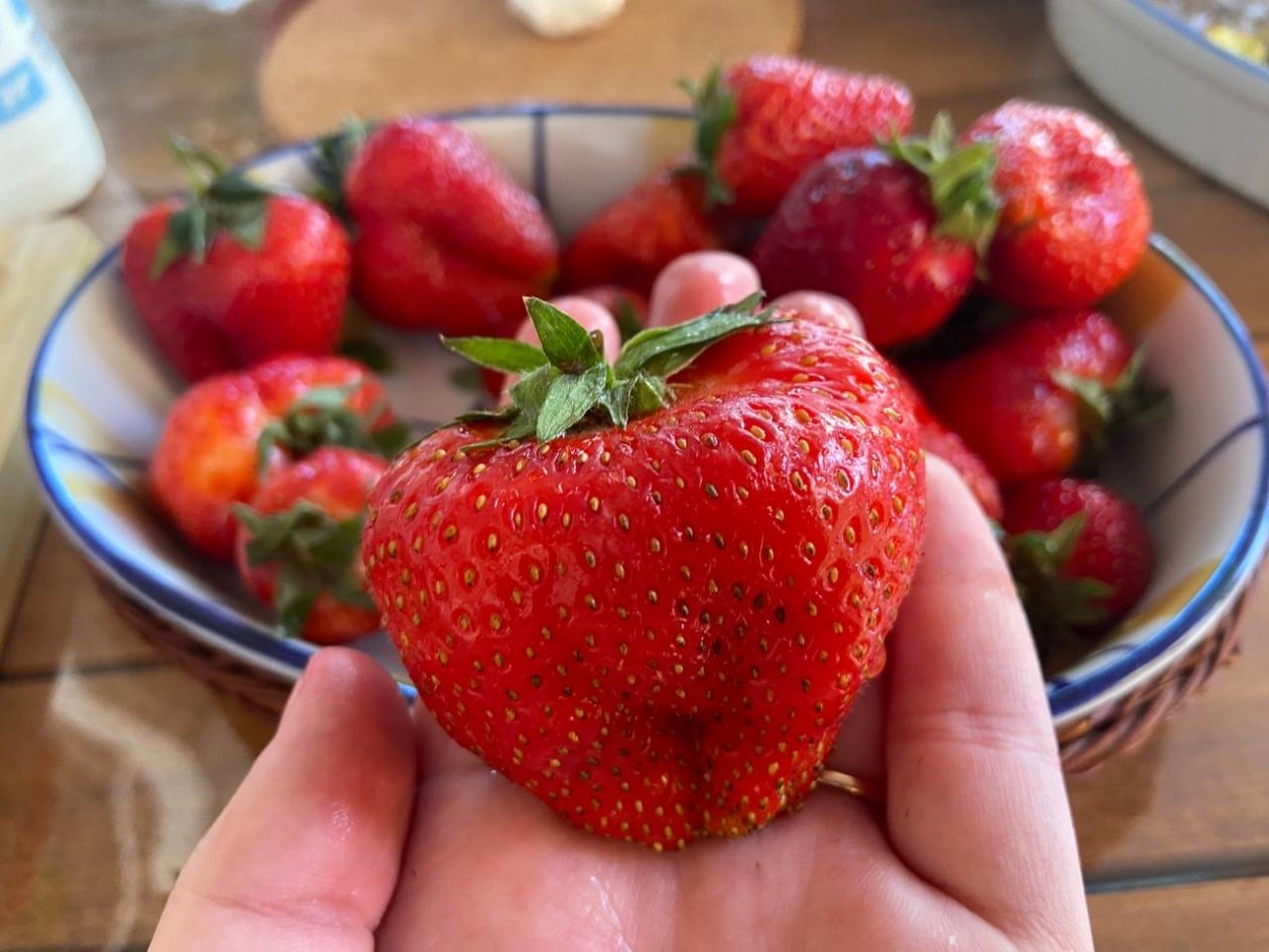 Клубника завалит урожаем: подсыпаю по 1 ложке этого средства в центр куста - ягоды будут весом по 150 грамм ИА KrasnodarMedia