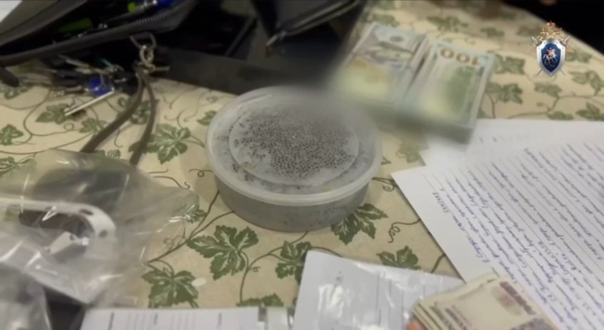 скриншот видео