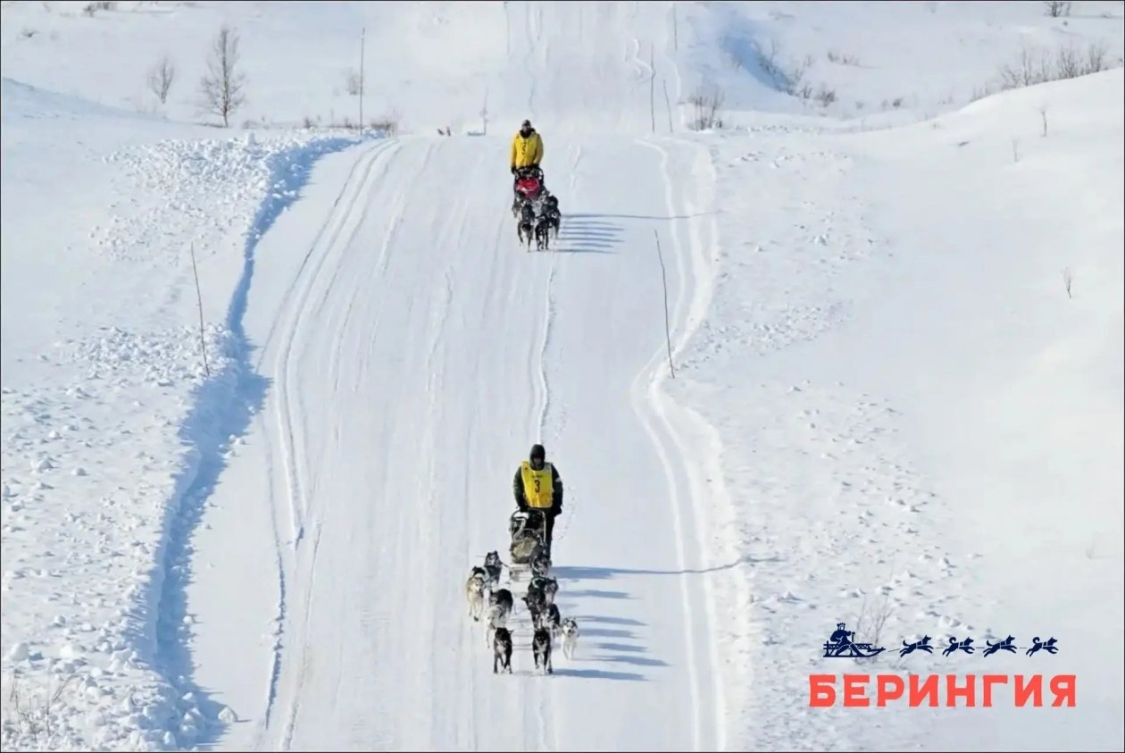 Берингия-2026 Оргкомитет гонки