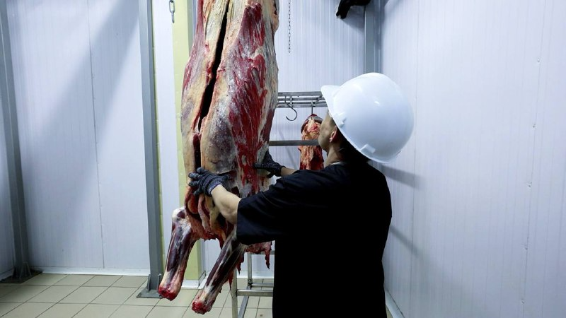 тематическое фото правительство области