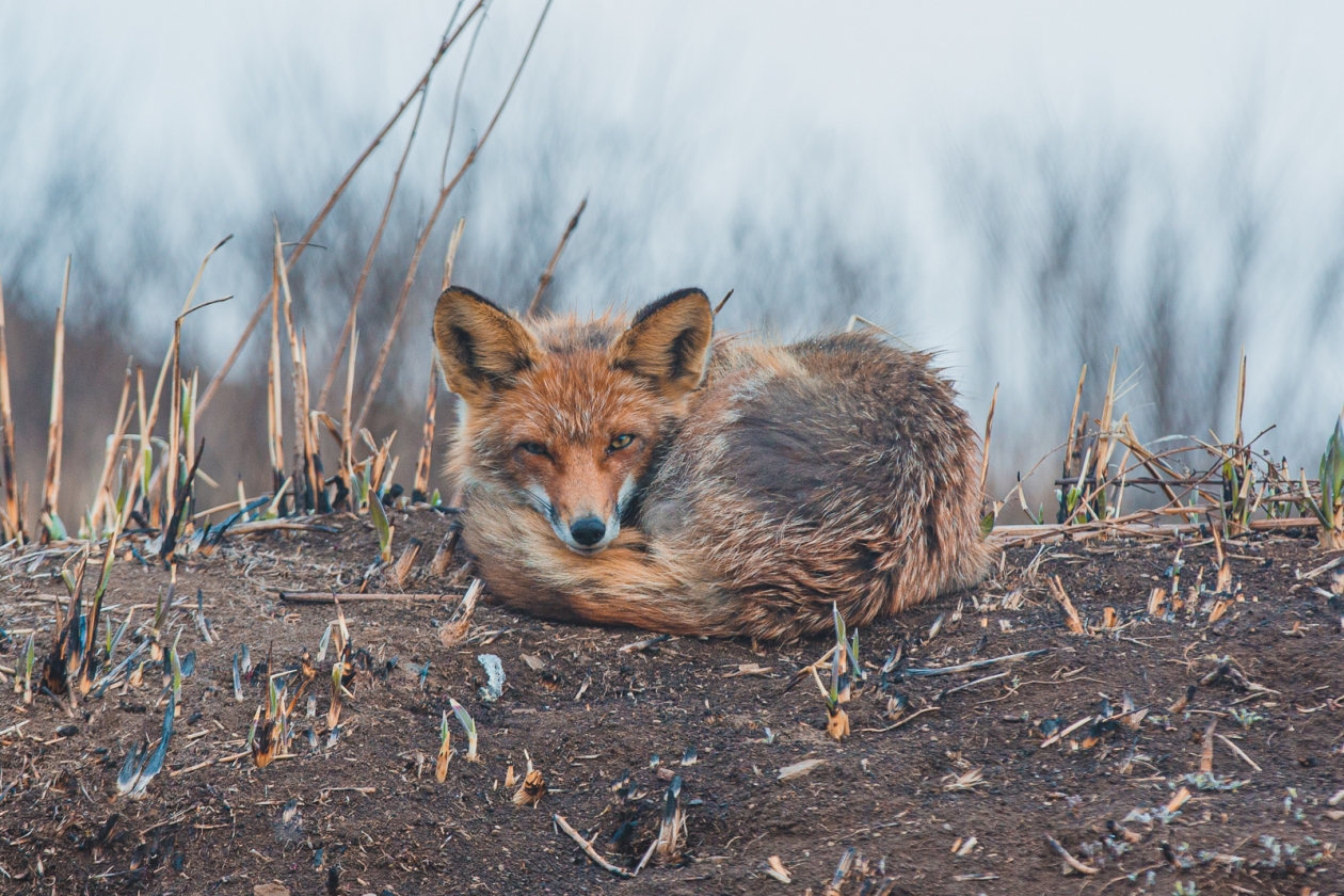 Тематическое фото ИА PrimaMedia
