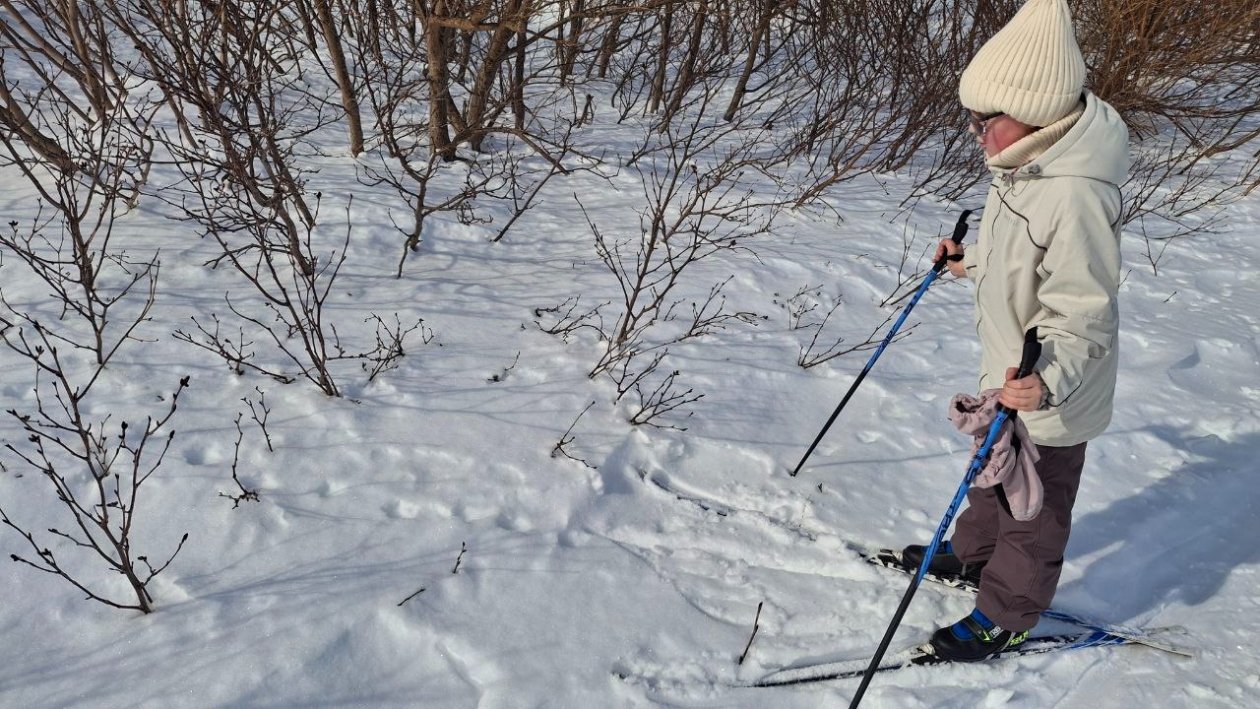 Юннаты изучают следы животных пресс-служба Кроноцкого заповедника