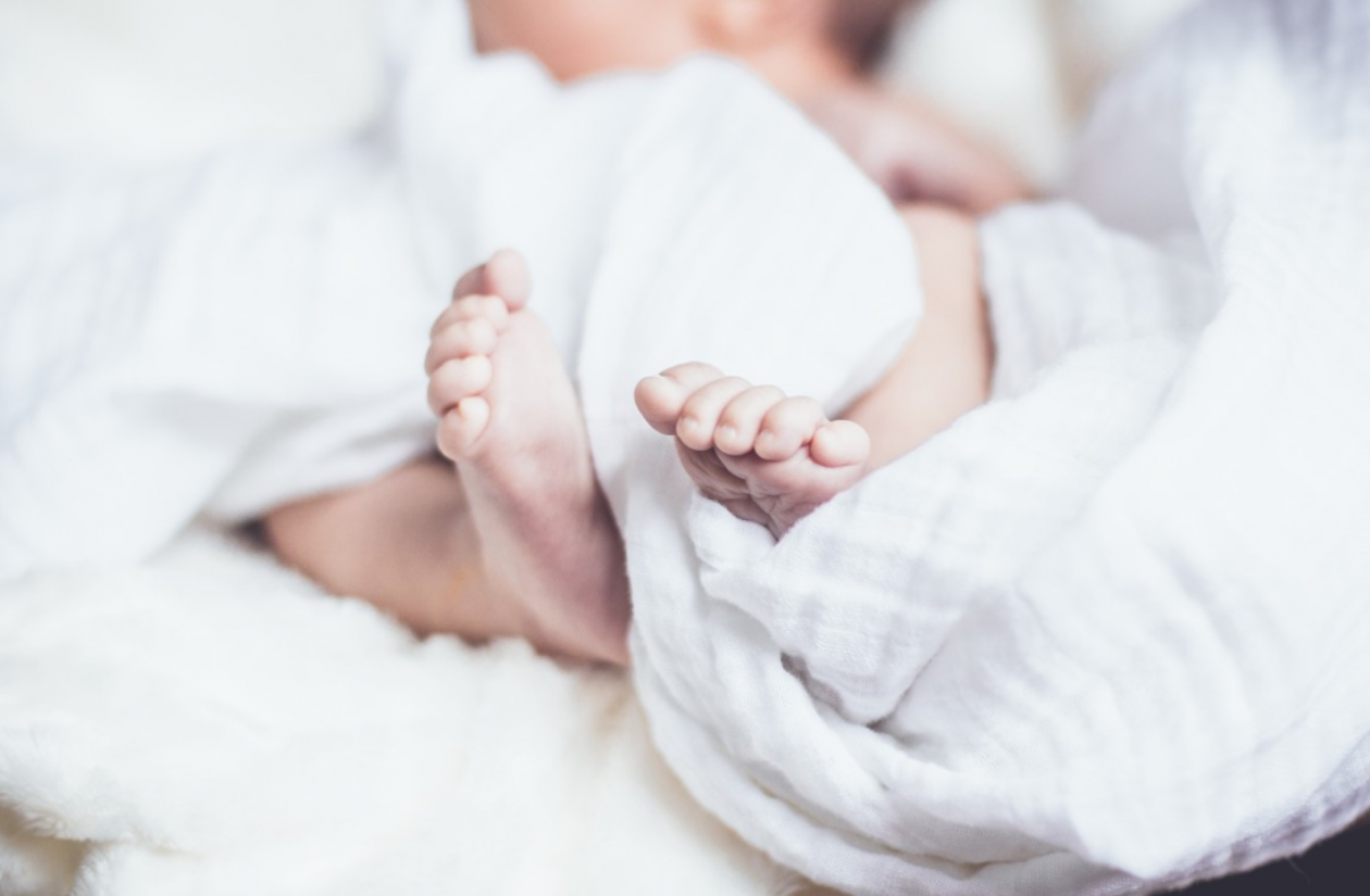 Тематическое фото Сайт pxhere.com