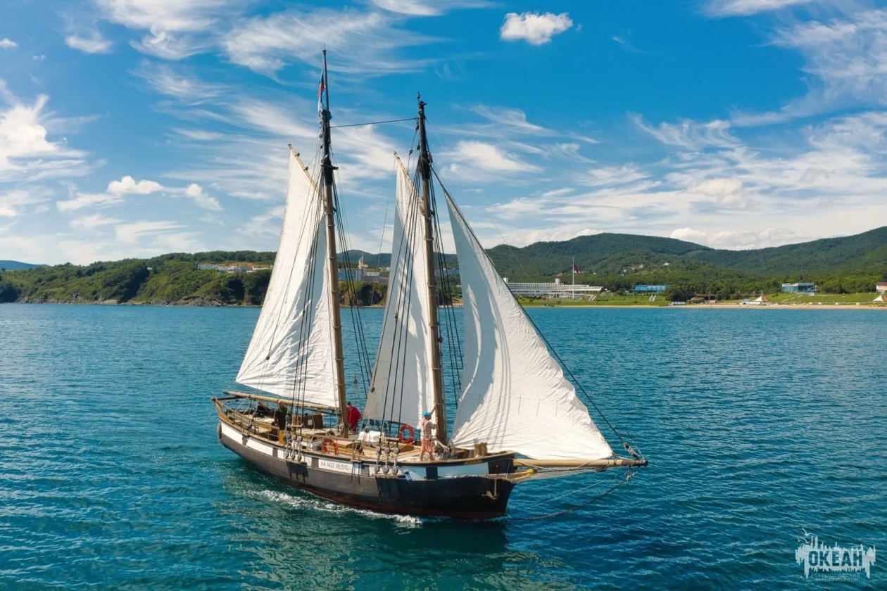 Сергей Кравцов: вырос охват детей участников СВО отдыхом и оздоровлением Источник