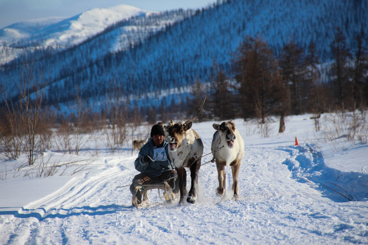 Регионы ДФО выступают за поддержку развития национальных видов спорта Источник