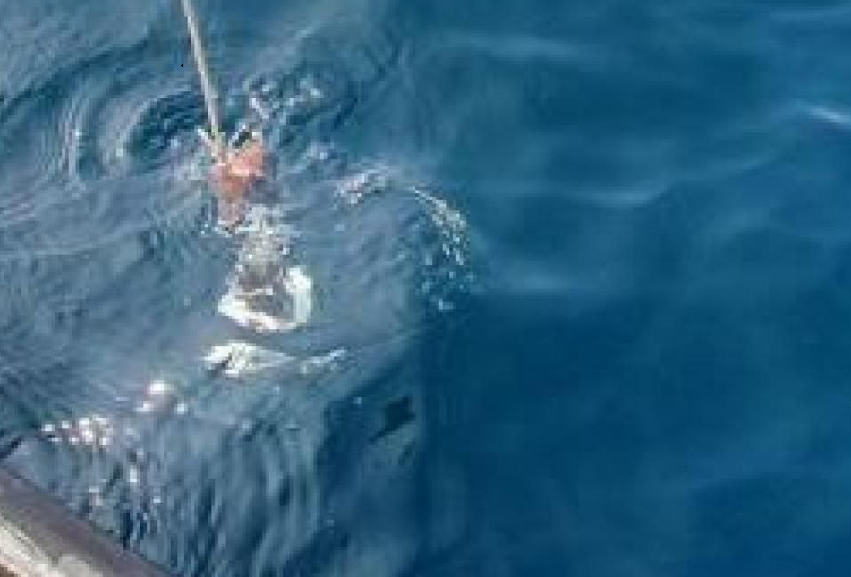 Затонувший кран нанес вред акватории Соцсети Светланы Радионовой