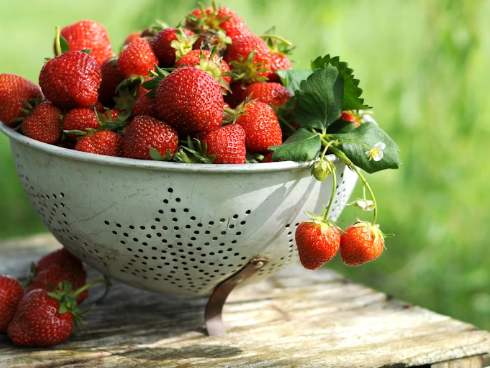 Тематическое фото Unsplash.com (18+)