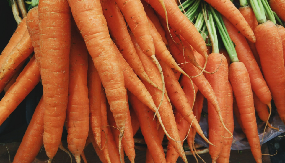 Тематическое фото pxhere (18+)