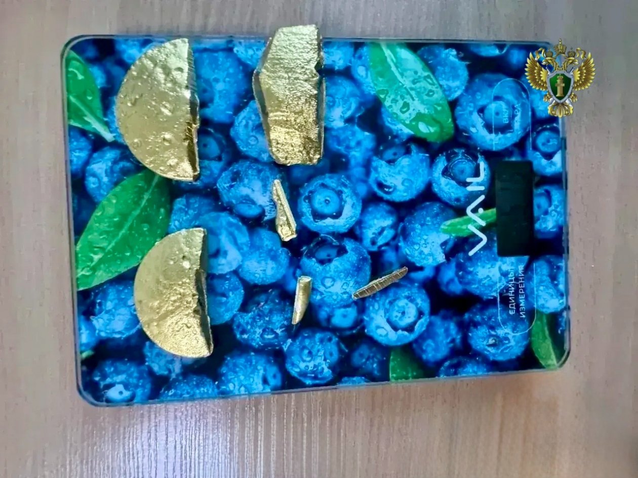 Вынесен приговор жительнице соседнего региона за попытку незаконного вывоза золота со Ставрополья Прокуратура Ставропольского края