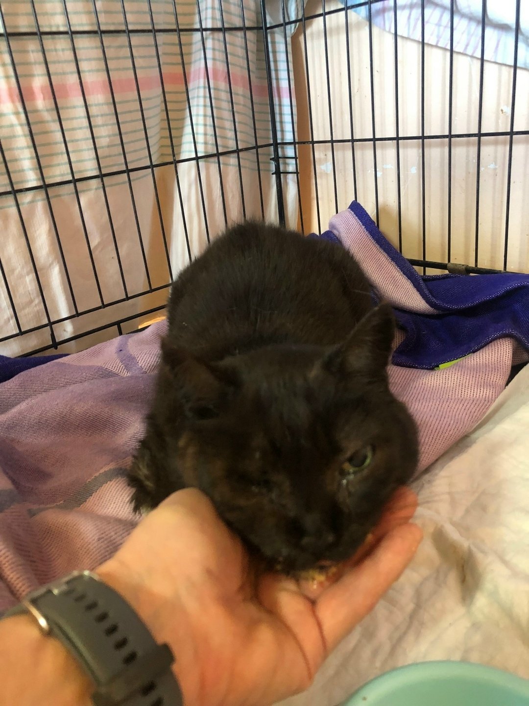 Из архива Е. Воиновой